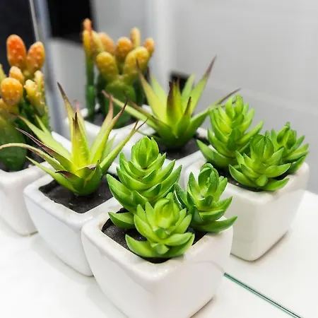 Fifi W. Parking In Old Town